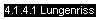 4.1.4.1 Lungenriss